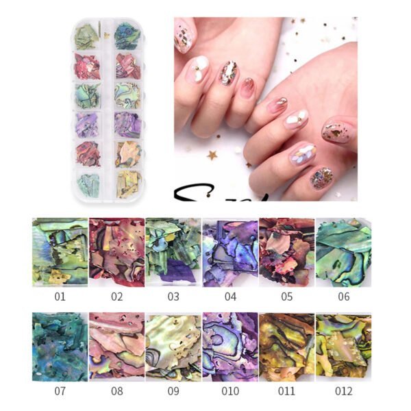 12 Grid Glitter abalone shell flakes for nail art - Image 5